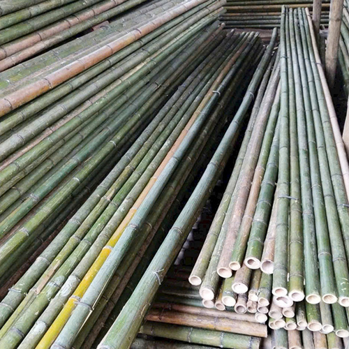 SẠP TRE, SẠP TRÚC 4M
